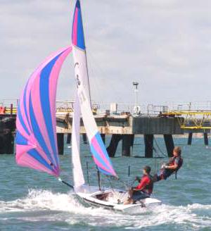 Specifications 405 (HOBIE)