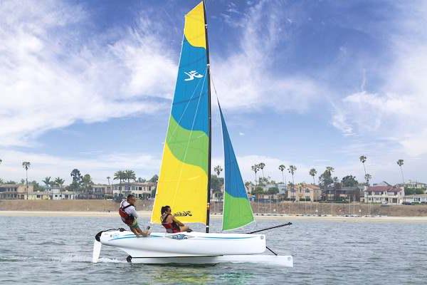 Specifications HOBIE T2