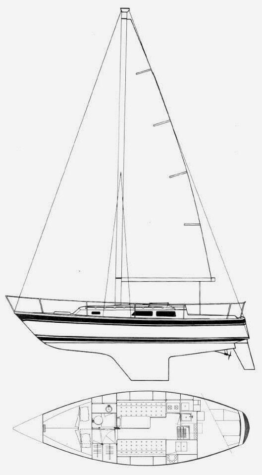 Specifications CAL 31