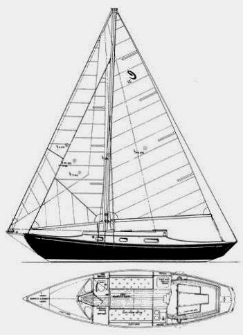 Specifications CLASSIC 31