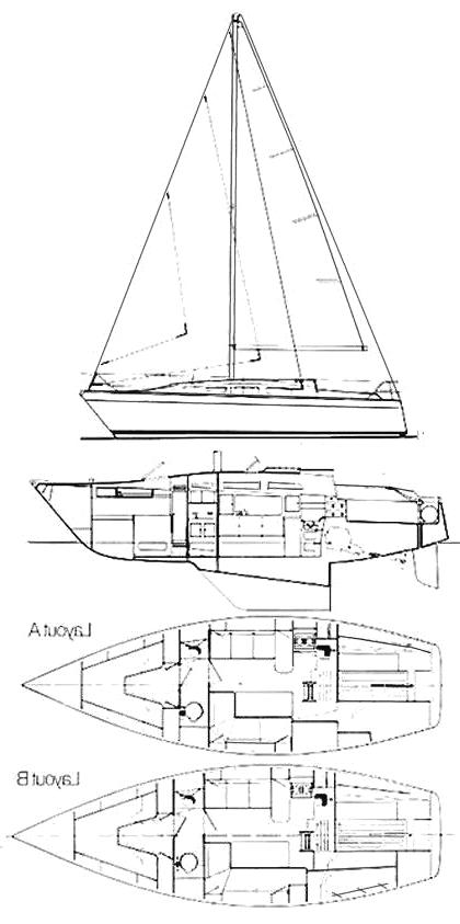Specifications DOLPHIN 31