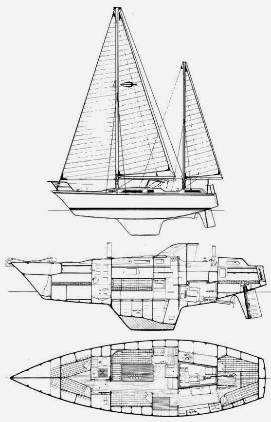 SHARKI 39 (AMEL)