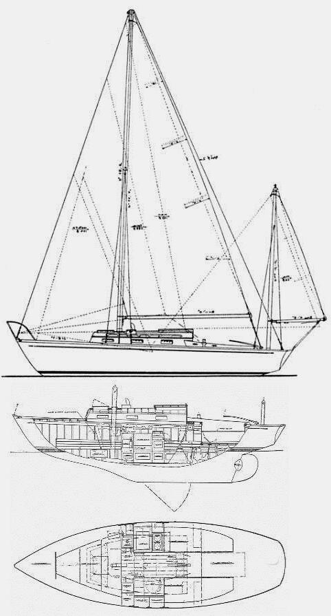 Specifications SHAW 24