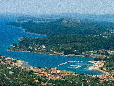 Olive island Marina