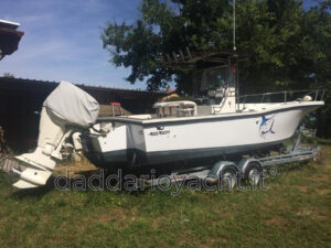 Boston Whaler 22 Dauntless