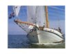 Lemsteraak Tradition Classic Sailing