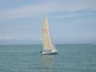 Sailboat One off